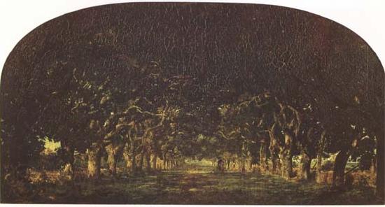 Theodore Rousseau The Chestnut Avenue (mk09) Norge oil painting art